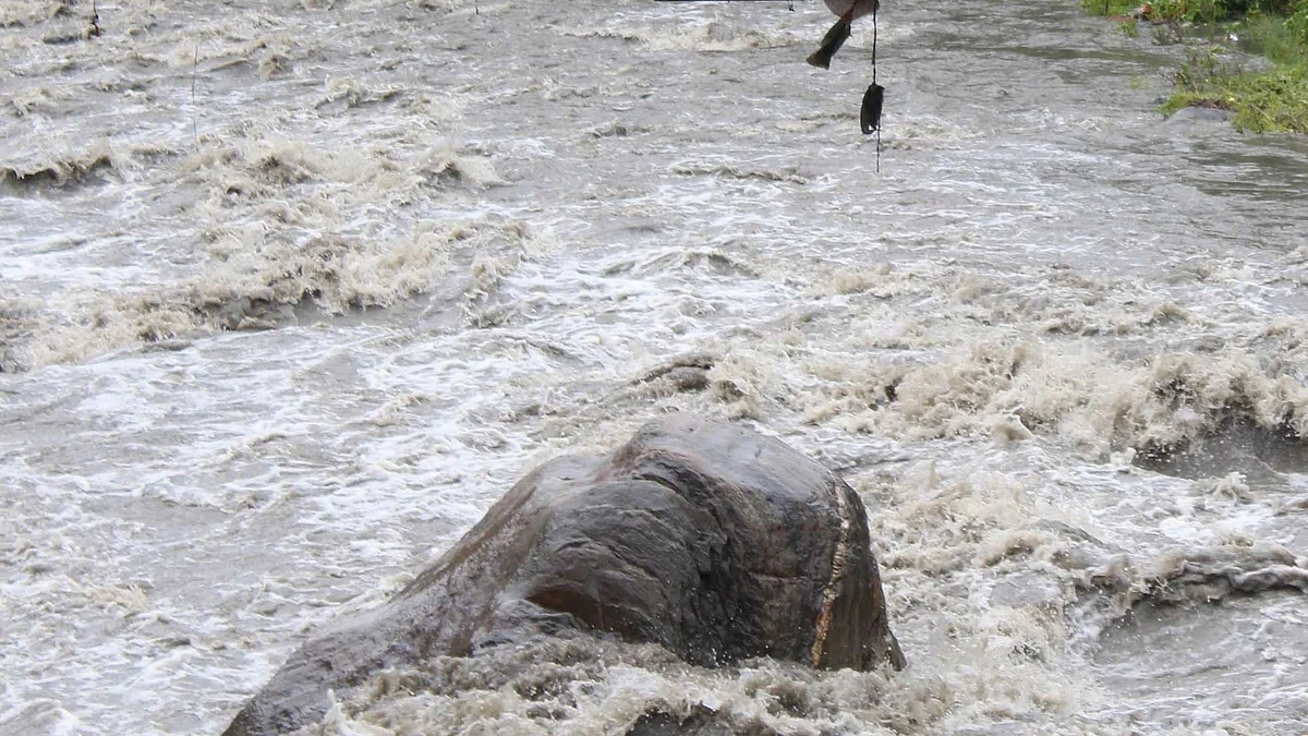 تصویر یو این آئی