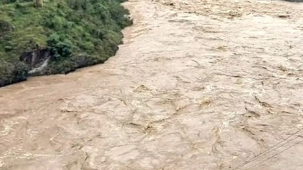 علامتی، تصویر یو این آئی