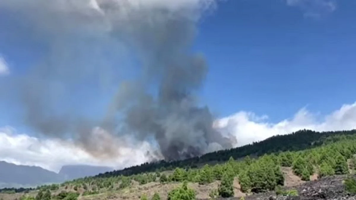 آتش فشاں، تصویر ویڈیو گریب