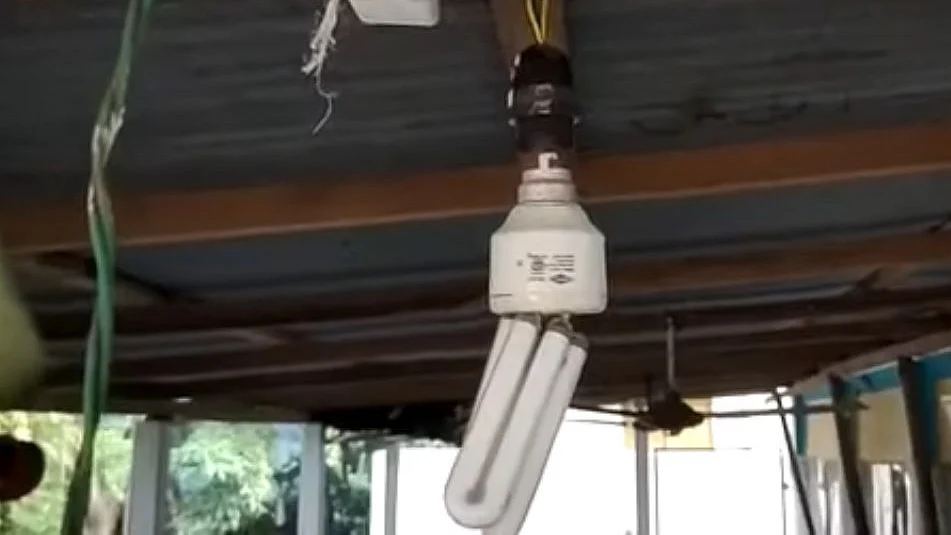 تریپورہ میں تشدد کے بعد کا ایک منظر