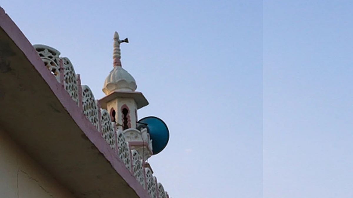 علامتی تصویر آئی اے این یس