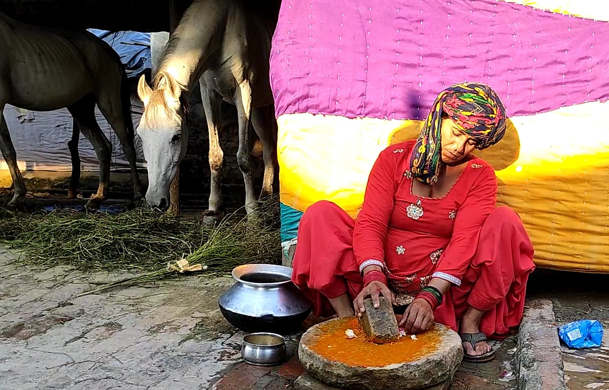 کنچے کھیلنے کی عمر میں بن گئے گھڑسوار، مگر اسکول نہیں جاتے