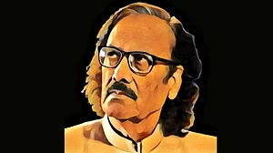 عظیم امروہوی، تصویر جمال عباس فہمی