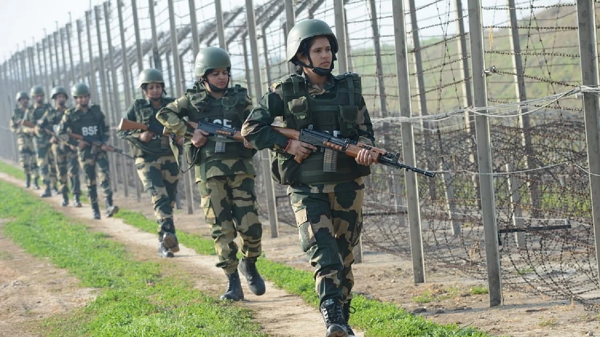 <div class="paragraphs"><p>بی ایس ایف / فائل تصویر / آئی اے این ایس</p></div>