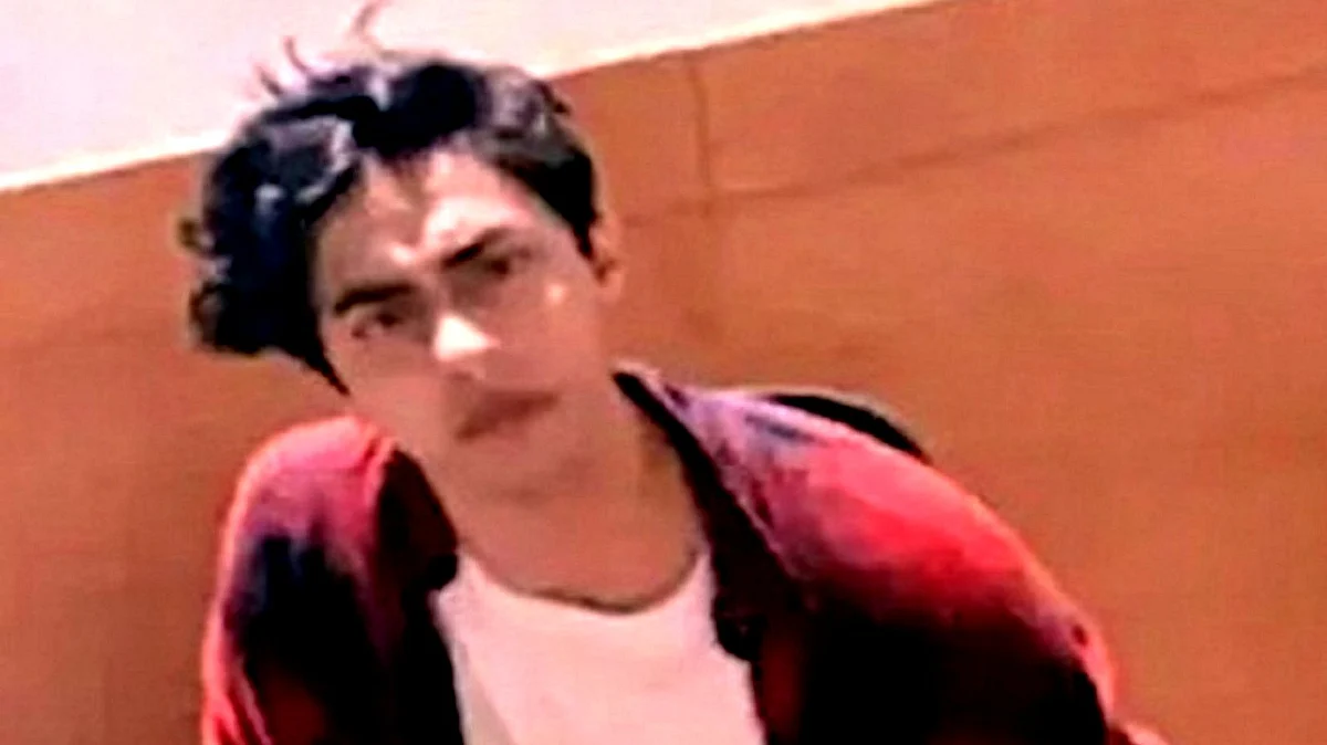 آرین خان، تصویر آئی اے این ایس