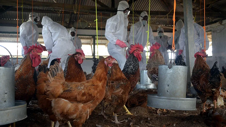 جمہوریت کے لیے اپوزیشن ضروری، مہاراشٹر میں جلد ملنا چاہیے قائد حزب اختلاف: سپریا سولے