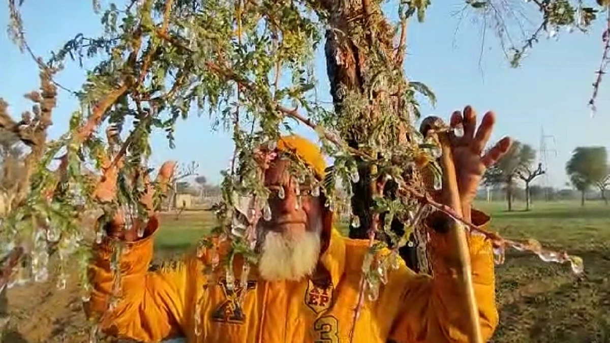 تصویر آئی اے این ایس