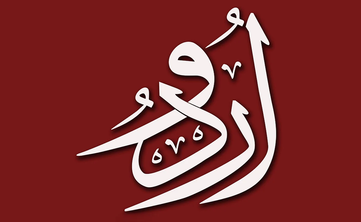 دہلی حکومت کی پریس کانفرنس میں اردو اخبارات کے صحافیوں کو مدعو نہ کرنے کا الزام، ڈاکٹر سید احمد خان ناراض