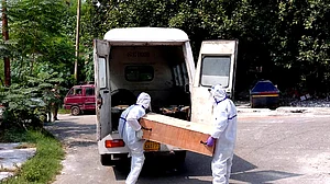 علامتی تصویر یو این آئی