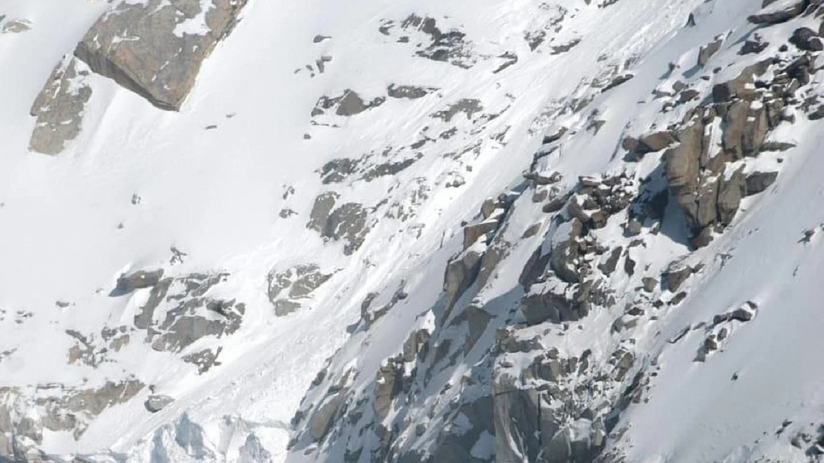 <div class="paragraphs"><p>علامتی تصویر، آئی اے این ایس</p></div>