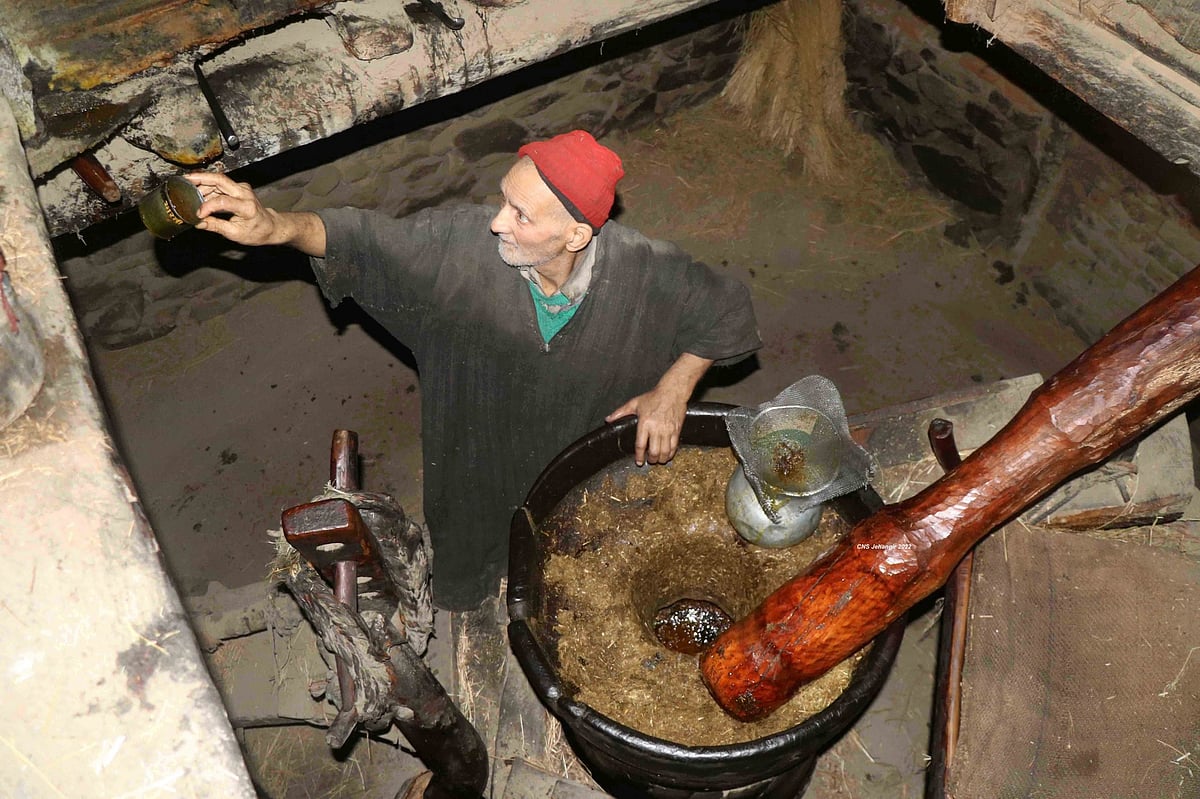 وادی کشمیر میں سرسوں سے تیل نکالنے کے روایتی طریقے کو زندہ رکھنے والے محمد وانی