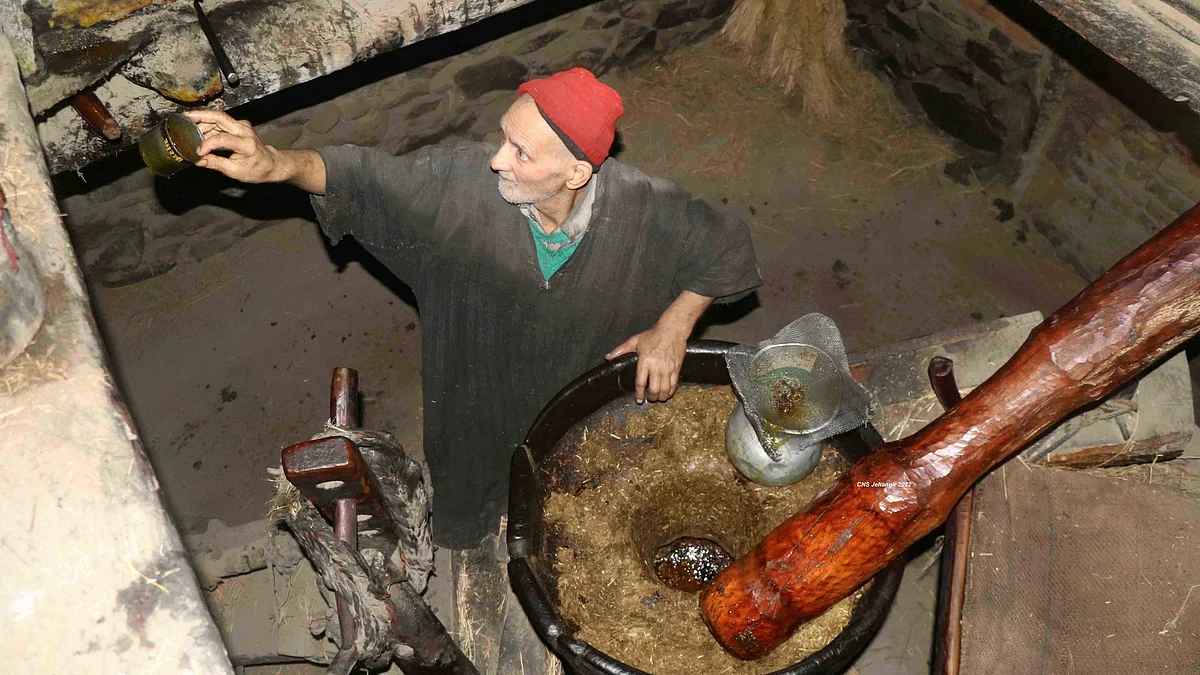 تصویر بشکریہ ٹوئٹر / @syedroufr