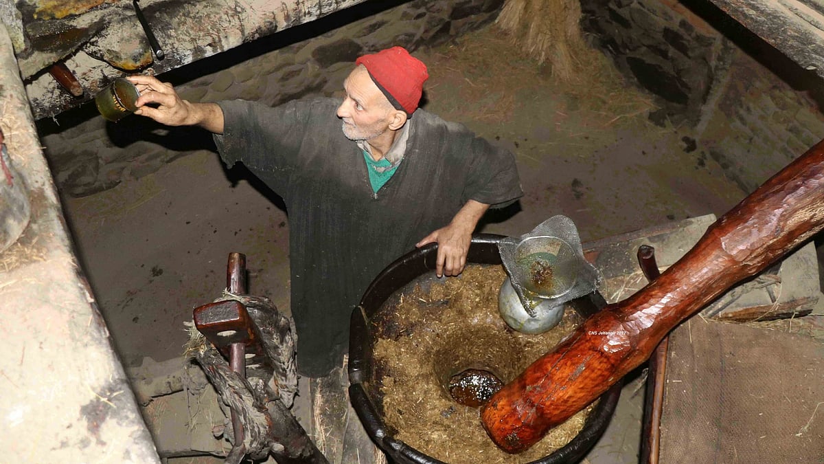 تصویر بشکریہ ٹوئٹر / @syedroufr