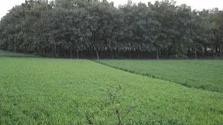 علامتی تصویر