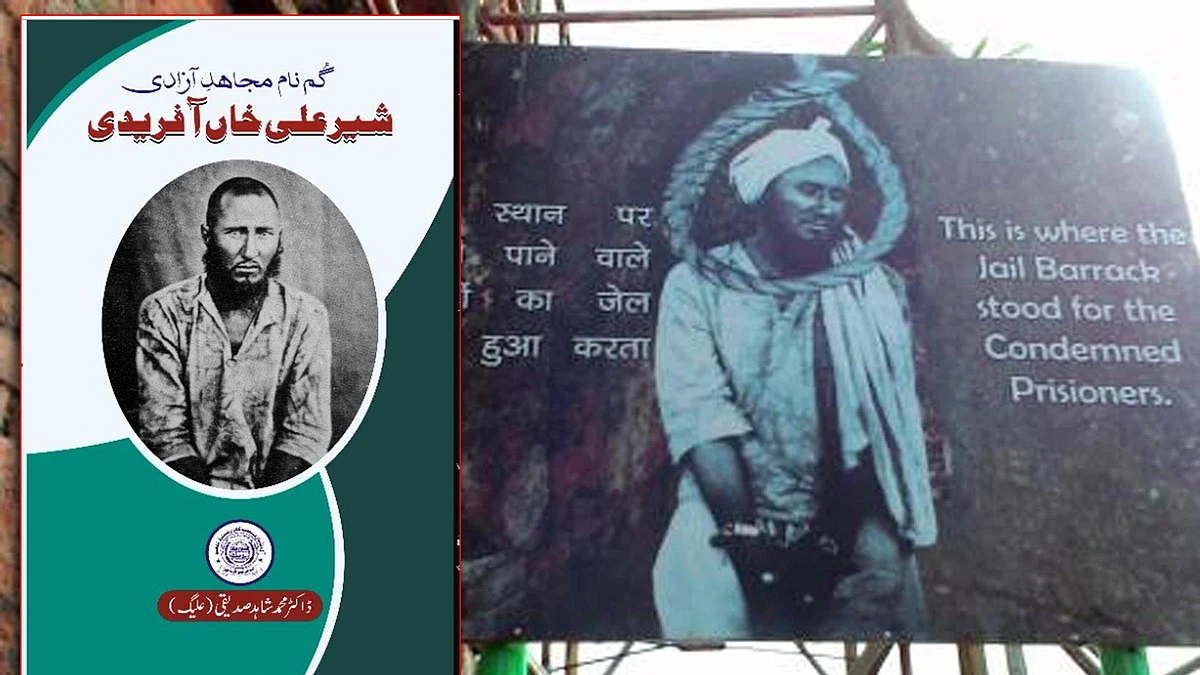 تجزیہ: گمنام مجاہد آزادی: شیر علی خاں آفریدی