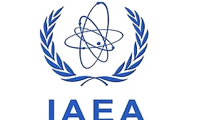 یوکرین کے نیوکلیائی تنصیبات کے لیے آئی اے ای اے دے گا ورکنگ گروپ تشکیل