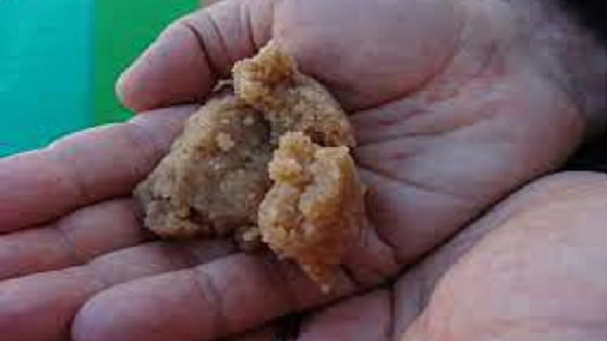 پرساد علامتی تصویر