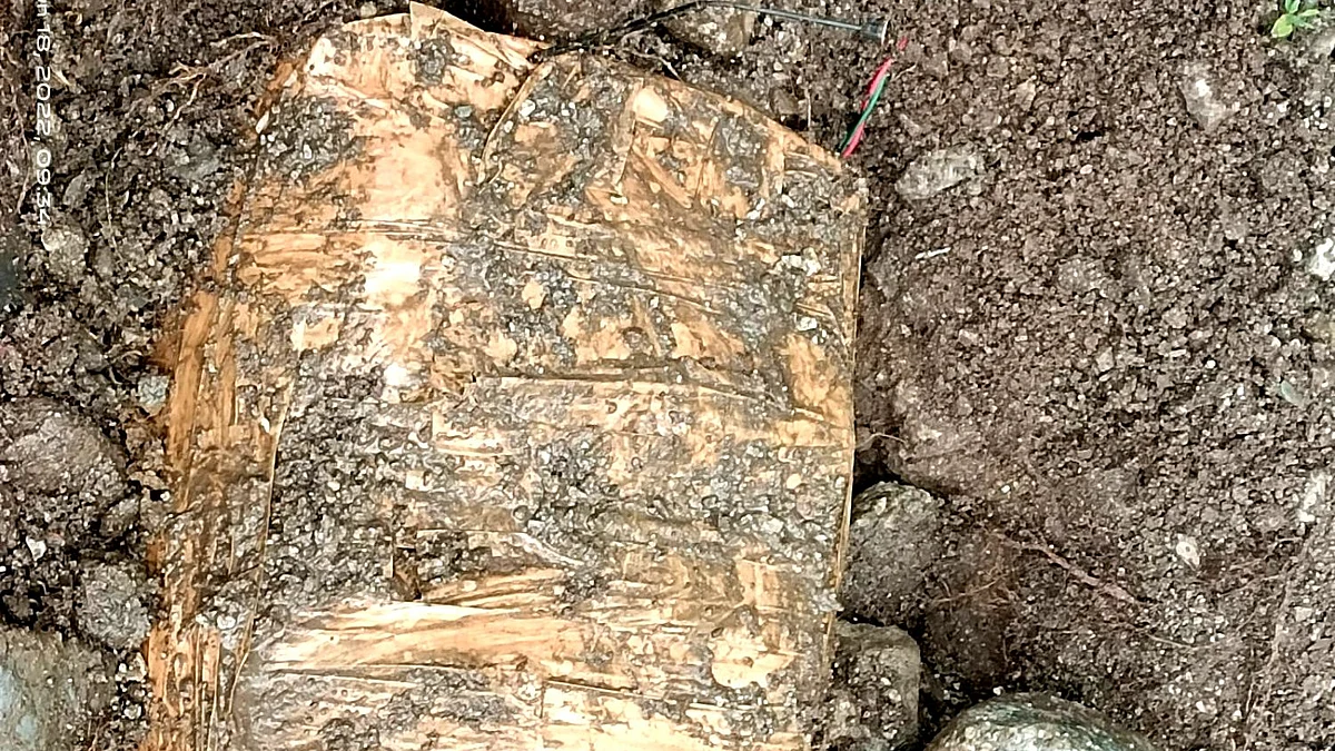 تصویر آئی اے این ایس