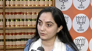 نوپور شرما نے غلط بیانی پر معافی مانگی، اپنے دفاع میں کہا 'جو میڈیا میں سنا وہی دہرایا تھا'