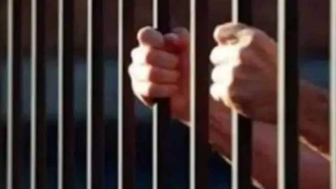 آئی اے این ایس