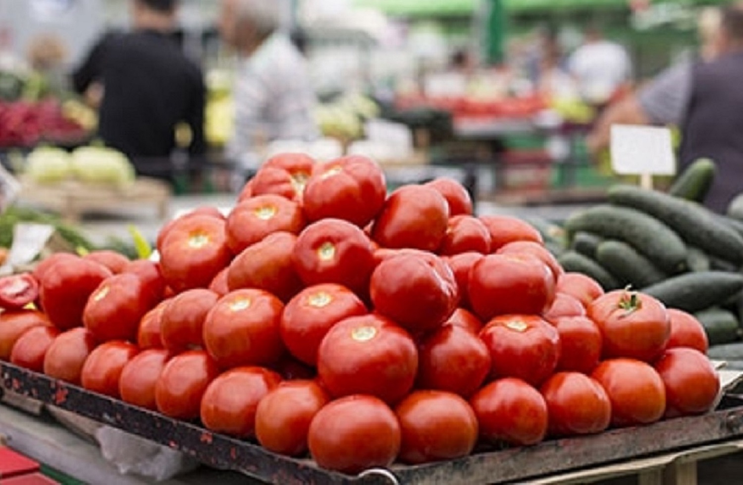 <div class="paragraphs"><p>ٹماٹر، تصویر آئی اے این ایس</p></div>