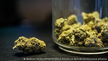 ڈرائیورز کے لیے بھنگ کے استعمال کی حد بڑھائی جائے، جرمن ماہرین