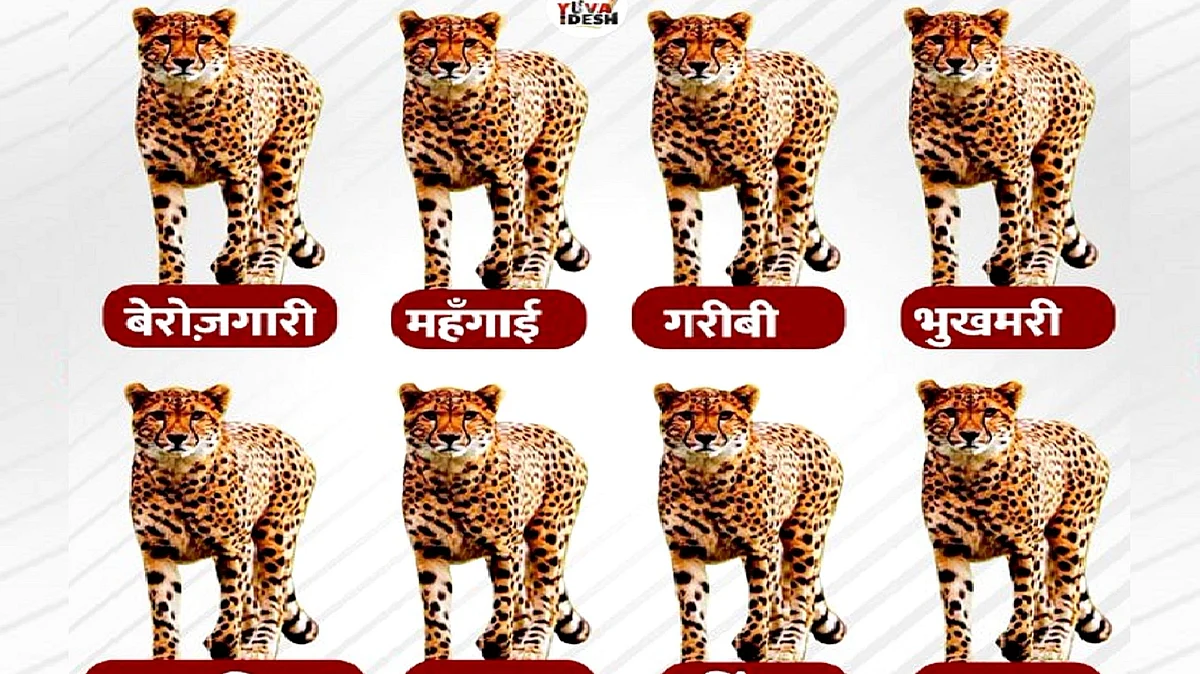 تصویر ٹوئٹر @srinivasiyc