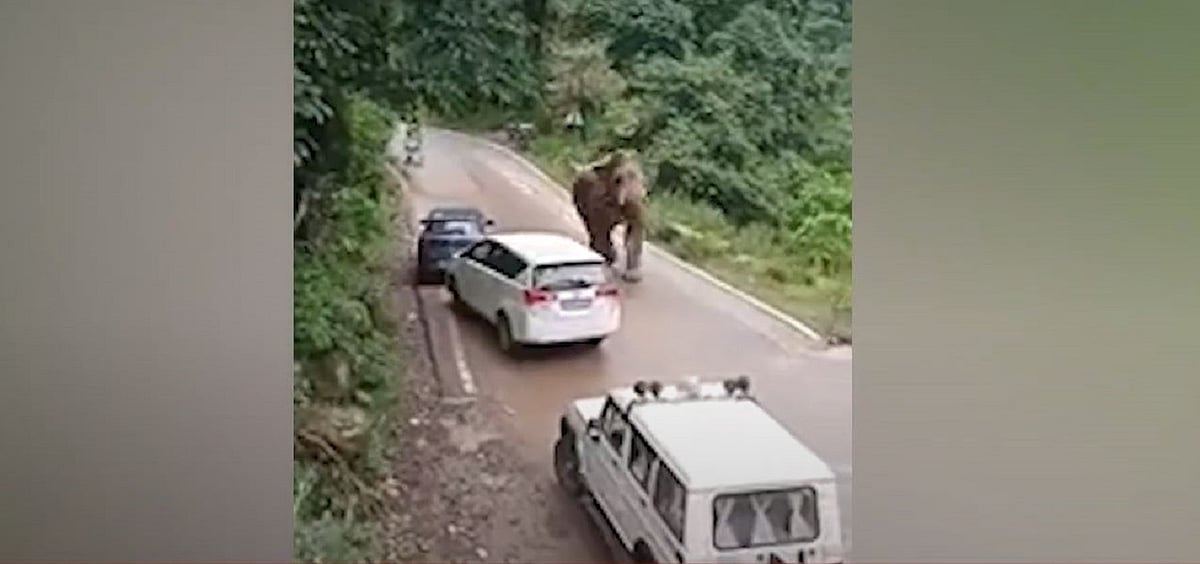 ویڈیو: اتراکھنڈ کے سابق وزیر اعلیٰ تریویندر سنگھ راوت کو ہاتھی نے دوڑایا، بڑی مشکل سے بچی جان!