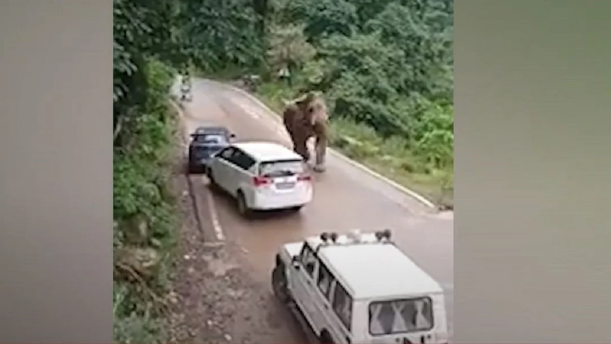 تصویر سوشل میڈیا