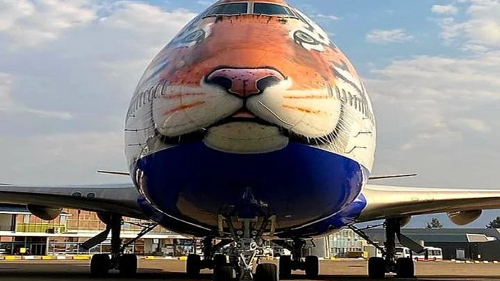 چیتوں کو لانے والی خصوصی کارگو پرواز / ٹوئٹر