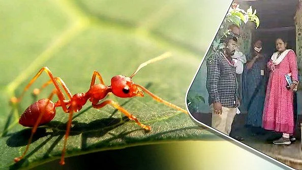 تصویر سوشل میڈیا