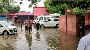 تصویر سوشل میڈیا