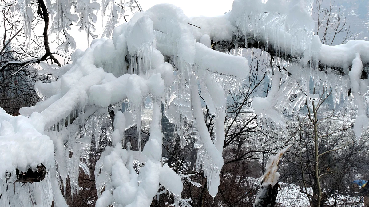 <div class="paragraphs"><p>علامتی تصویر / یو این آئی</p></div>