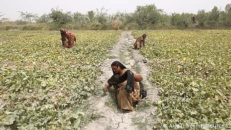 دیہی خواتین: تعلیم ، روزگار ’تشدد سے تحفظ کے بہترین ذرائع‘