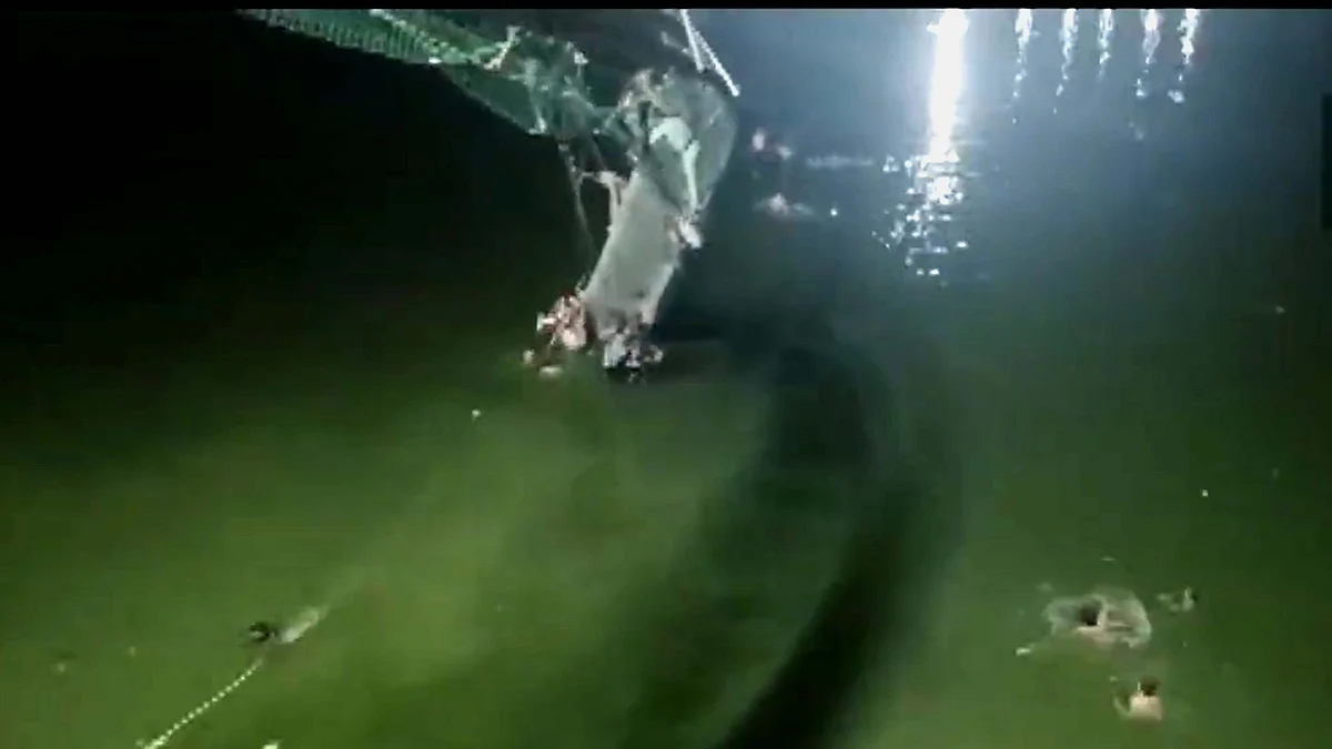 تصویر ویڈیو گریب