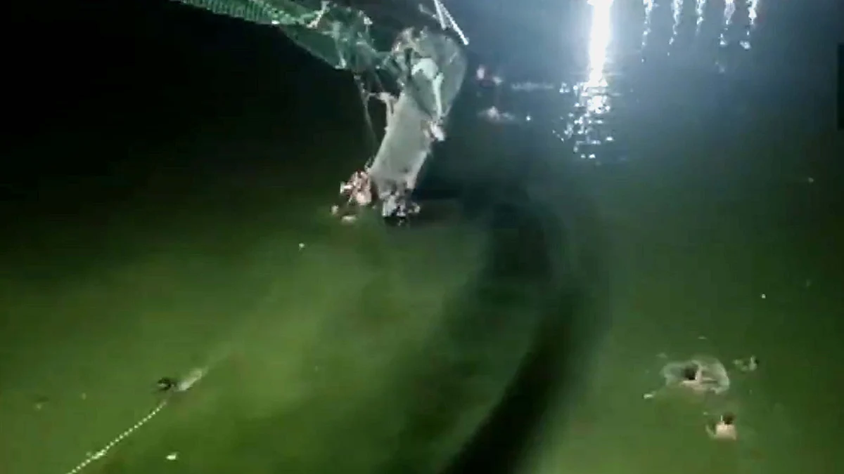 تصویر ویڈیو گریب