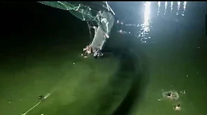 موربی پل حادثہ: گجرات ہائی کورٹ نے کارپوریشن افسر کو ٹھہرایا ذمہ دار، معاوضہ کی رقم کو بھی بتایا ناکافی