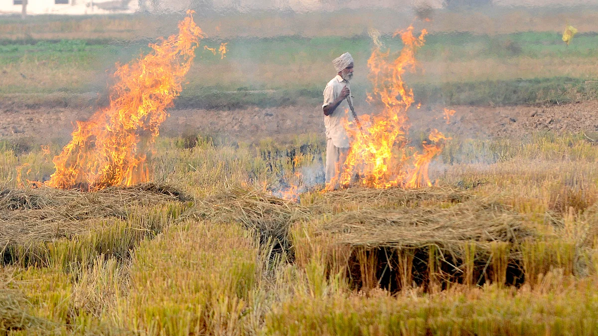 پنجاب میں پرالی جلاتا ایک کسان / فائل تصویر / Getty Images