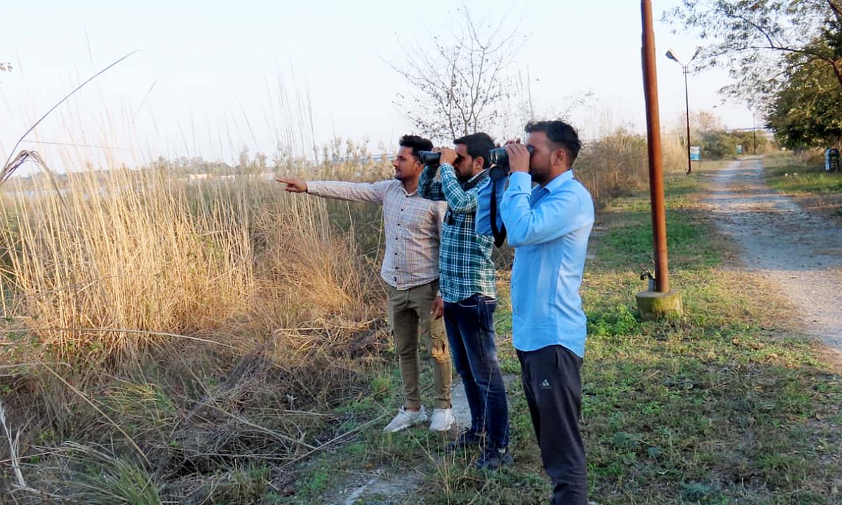 حیدر پور ویٹ لینڈ: ہمالیہ کو عبور کر کے گنگا کے دامن میں پناہ لینے والے ’مہاجر پرندوں‘ کا نیا مسکن