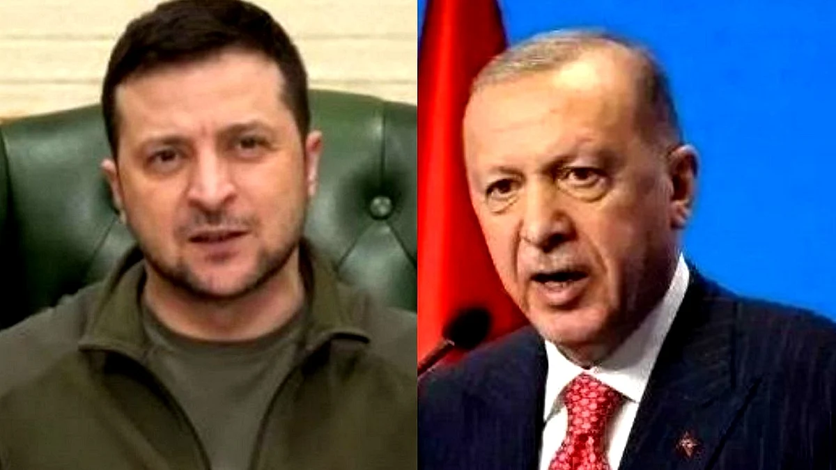 طیب اردوغان و صدر زیلنسکی، تصویر آئی اے این ایس