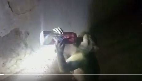 بندر نے کھلے عام بیئر کی بوتل نگل لی، زبردستی شراب چھین کر پوری کرتا ہے تلب