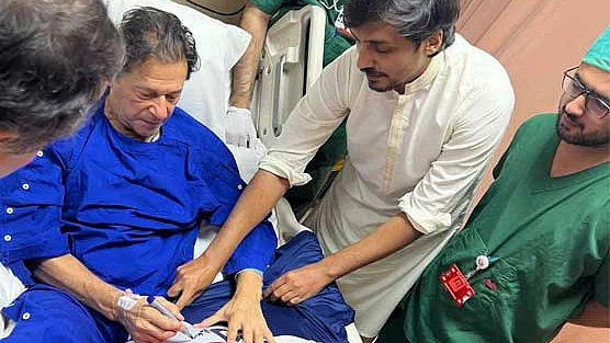 عمران خان سے ملاقات کرتے ابتسام حسن مہر / تصویر بشکریہ روزنامہ دنیا