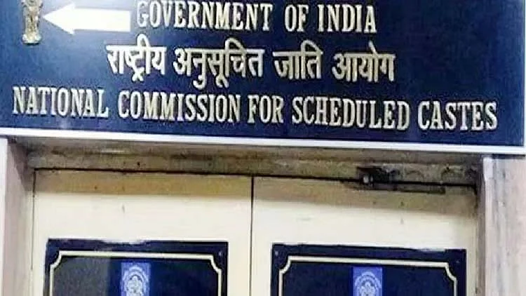 <div class="paragraphs"><p>سوشل میڈیا</p></div>