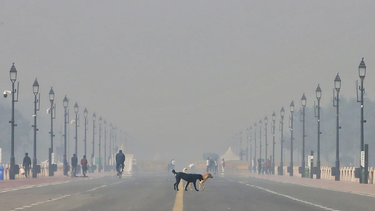 <div class="paragraphs"><p>دہلی میں فضائی آلودگی (فائل)/ تصویر آئی اے این ایس</p></div>