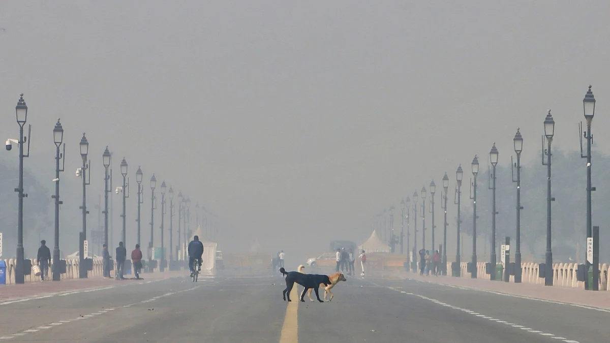 دہلی میں فضائی آلودگی/ تصویر آئی اے این ایس