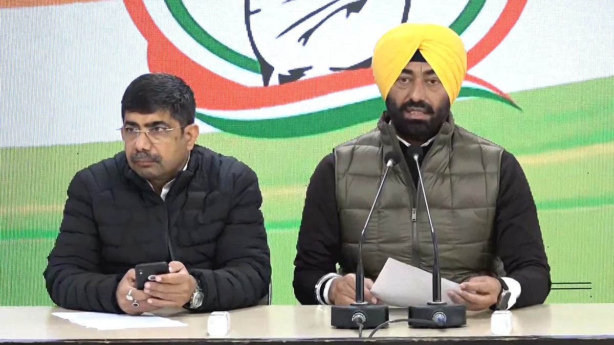 <div class="paragraphs"><p>تصویر ویڈیو گریب</p></div>