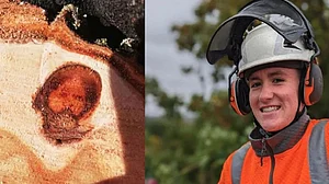 <div class="paragraphs"><p>تصویر سوشل میڈیا</p></div>