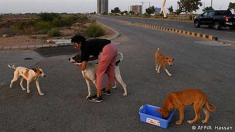 'کتے اور بلیاں بہر حال انسان نہیں ہیں'، بھارتی عدالت