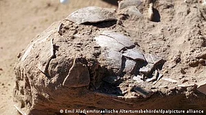 اسرائیل میں شتر مرغ کے ساڑھے سات ہزار برس پرانے کئی انڈوں کی دریافت