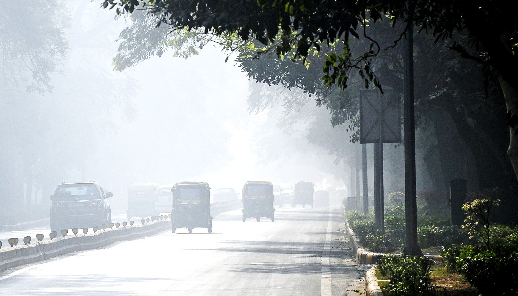 <div class="paragraphs"><p>کہرا، تصویر آئی اے این ایس</p></div>